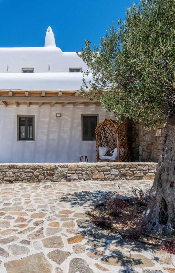 Mykonos Ag Villas In Ftelia Beach エクステリア 写真